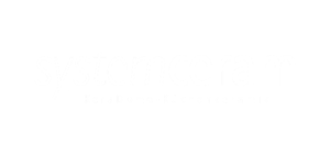 Logo systemceram